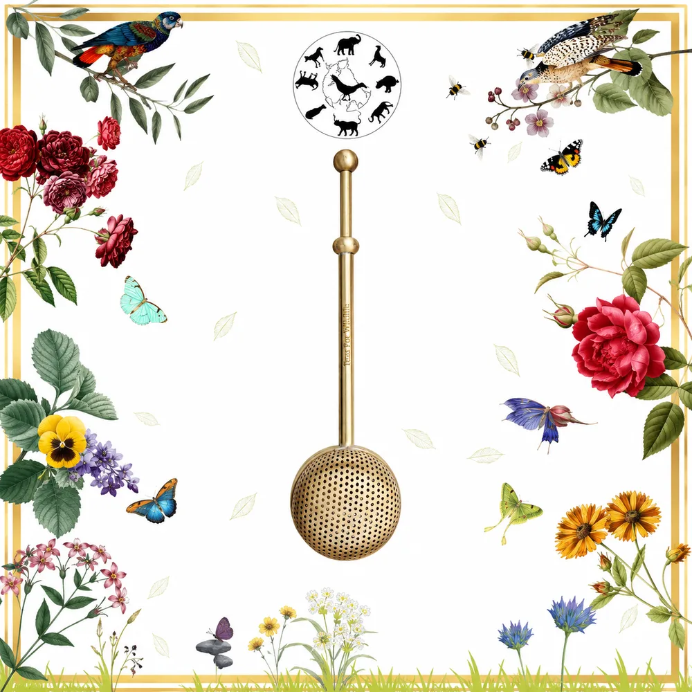 Brass Sliding Tea Strainer